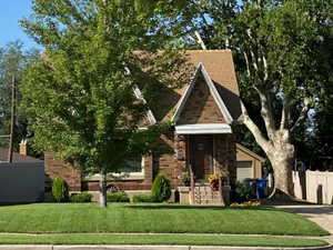 View of front of property with a garage and a front yard