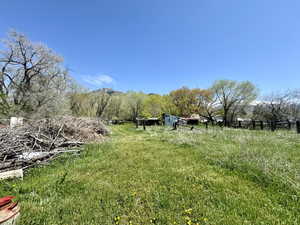 View of yard with a rural view