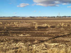 View of landscape featuring a rural view