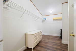 Spacious closet featuring dark wood-type flooring and lofted ceiling