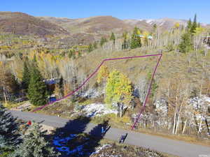 Bird's eye view with a mountain view