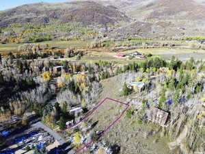 Birds eye view of property with a mountain view