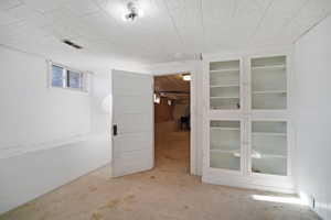 Basement with light carpet and wooden walls