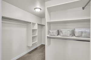 Spacious closet featuring carpet