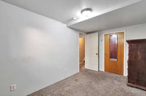 Basement  bedroom with carpet flooring