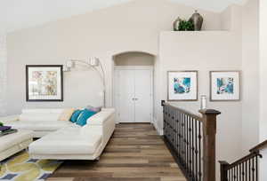 Living room with high vaulted ceiling and dark wood-type flooring