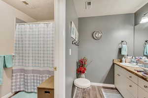 Bathroom featuring a textured ceiling, vanity, and hardwood / wood-style flooring