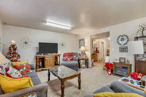 Carpeted living room with a textured ceiling