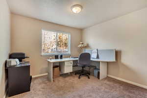 View of carpeted office