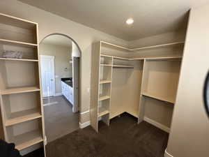 Spacious closet featuring dark colored carpet