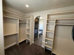 Spacious closet featuring dark colored carpet