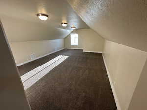 Additional living space featuring dark colored carpet, a textured ceiling, and lofted ceiling