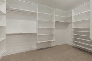 Walk in closet featuring carpet