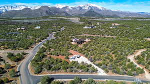 Bird's eye view featuring a mountain view