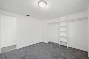 Spacious closet with dark carpet