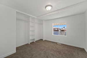 Spacious closet with dark colored carpet