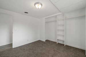 Walk in closet featuring dark colored carpet