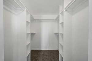 Walk in closet with dark carpet