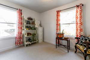 Living area featuring carpet, a healthy amount of sunlight, and a textured ceiling