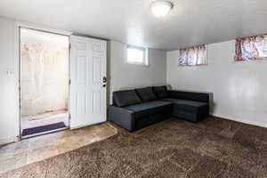 Living room featuring carpet and a textured ceiling