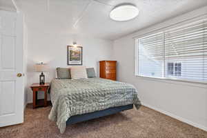 Bedroom with carpet flooring