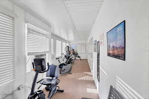 Exercise room featuring carpet floors and lofted ceiling