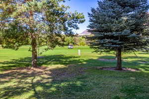 View of Golf Course