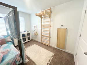 Carpeted bedroom featuring multiple windows