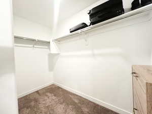 Spacious closet with carpet flooring