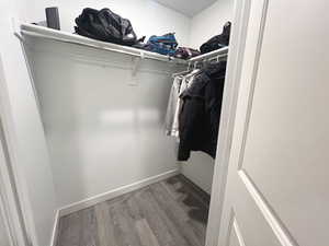 Walk in closet with dark wood-type flooring