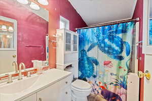 Bathroom featuring curtained shower, vanity, a textured ceiling, and toilet