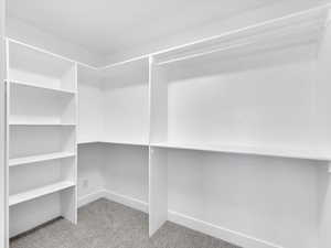 Walk in closet with light colored carpet