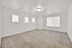 Carpeted spare room with plenty of natural light and a textured ceiling