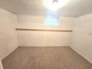 Basement with carpet floors