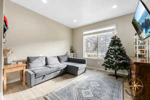 Living room featuring wood-type flooring