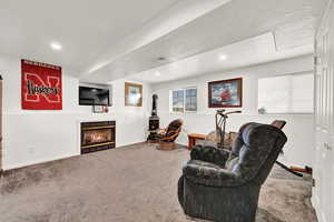 Carpeted living room with lots of natural light