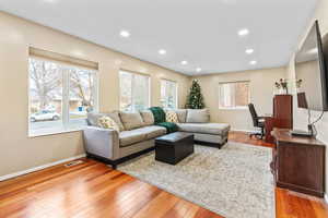 Living room featuring wood-type flooring