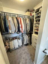 Spacious closet with carpet