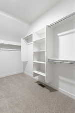 Spacious closet featuring light colored carpet