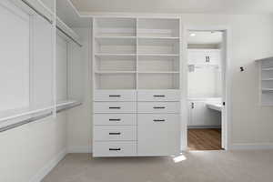 Spacious closet featuring light carpet