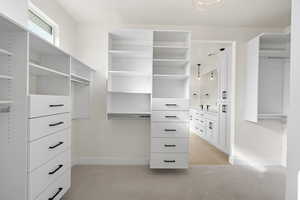 Spacious closet featuring sink and light colored carpet