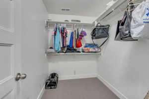 Spacious closet featuring carpet flooring