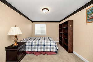 Bedroom with crown molding and light carpet