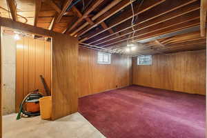 Basement with wood walls