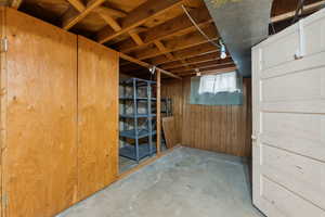 Basement featuring wood walls