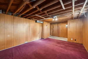 Basement featuring light colored carpet and wooden walls