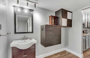 Bathroom with hardwood / wood-style floors, vanity, and tasteful backsplash