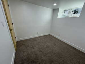 Empty room with dark colored carpet