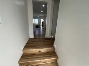 Hallway with dark hardwood / wood-style flooring