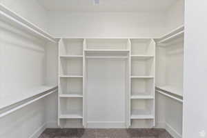 Spacious closet with carpet flooring